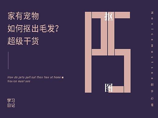 家有宠物如何快速抠出毛发？