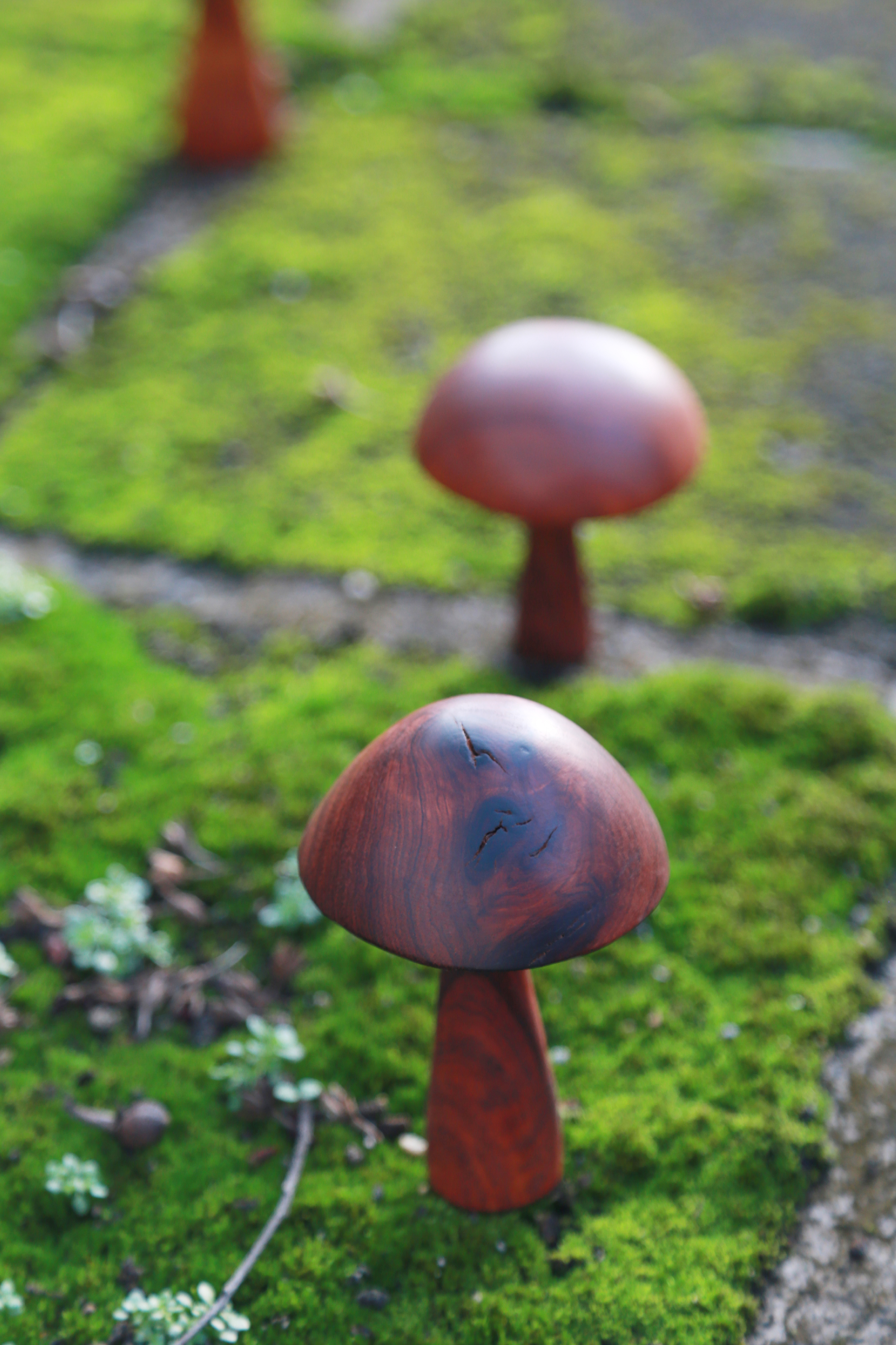 蘑菇设计|纯艺术|装置|雕塑浮雕场景设计 - 原创作品 - 站酷 (ZCOOL)