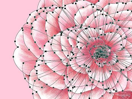 日常小练习-手绘