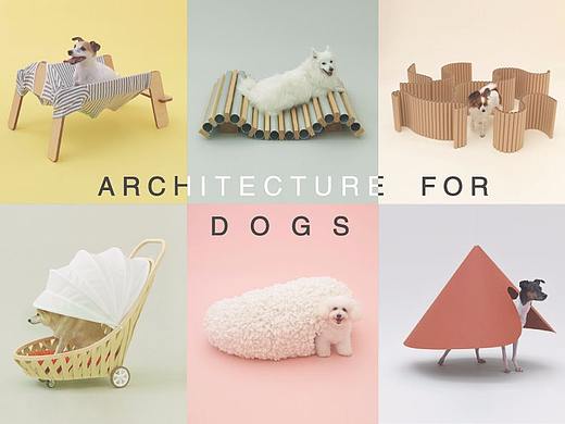 爱宠的小屋——版式设计