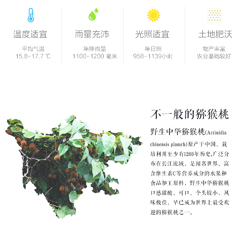 猕猴桃果酒众筹详情页