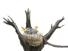 插画：妇女（个人主页-ZMzU0NzExMTY=） - 创作习作 - 站酷设计师插画师Sijt簿簏棵原创素材 - 站酷ZCOOL