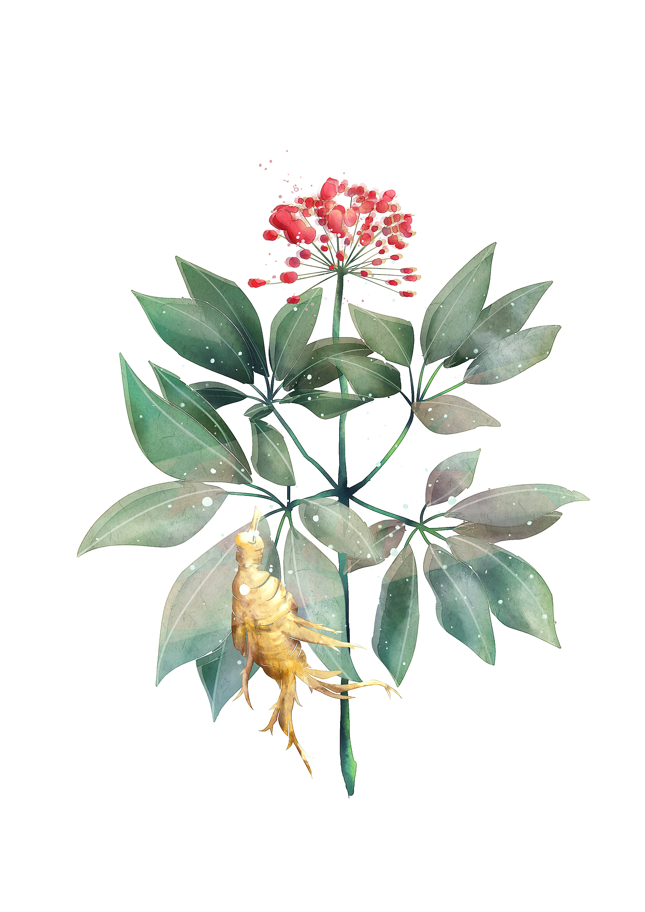 中药|平面|图案|雨文雯w_原创作品-站酷zcool