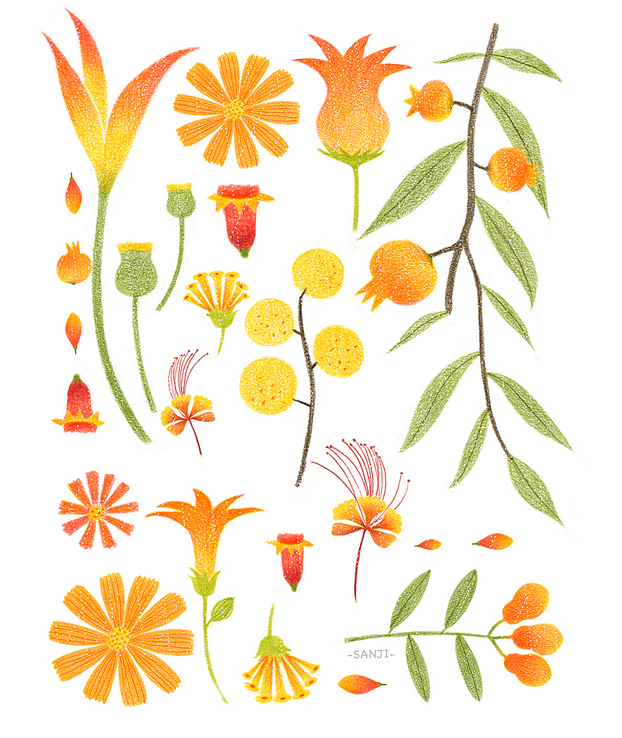 《花花绘》可爱彩色铅笔入门