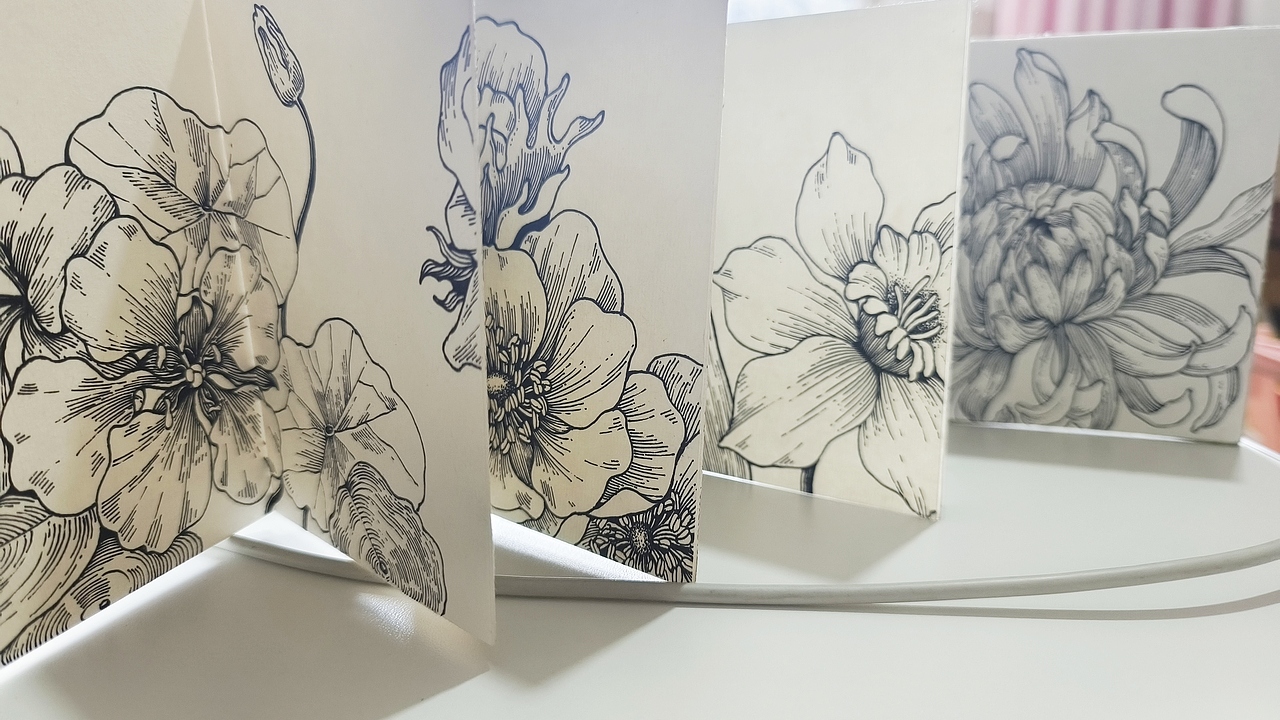 线描花卉,花园里面有什么?