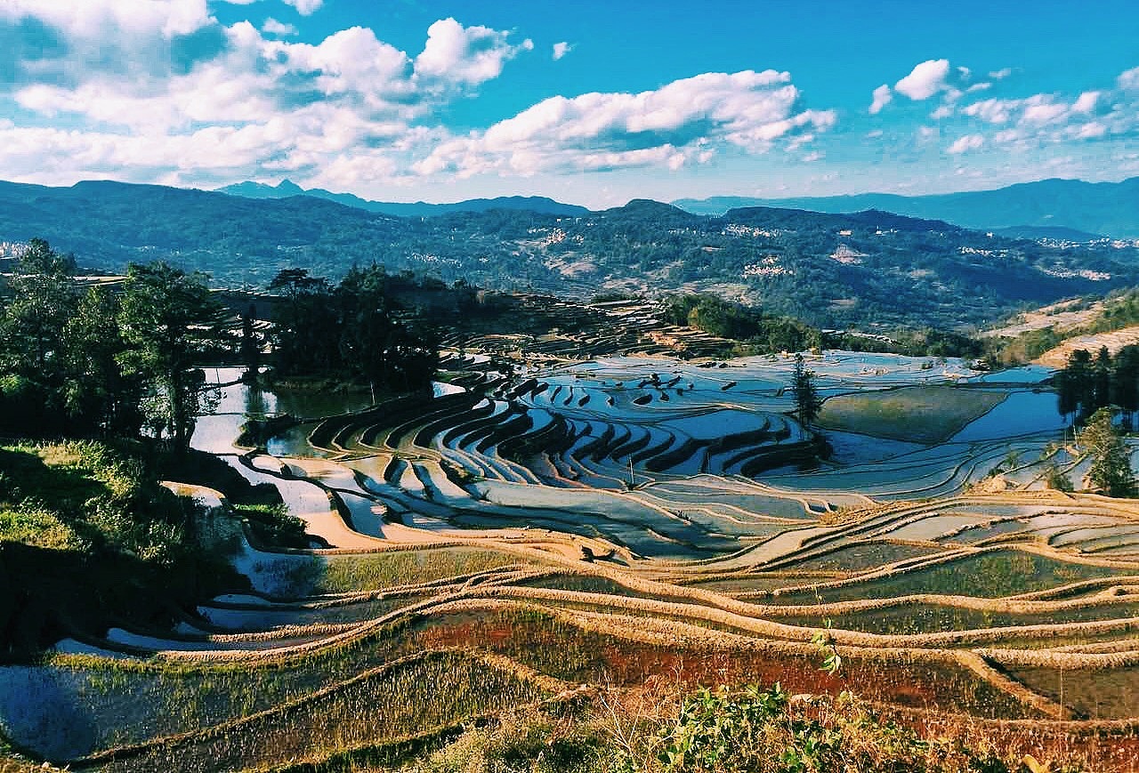 哈尼梯田