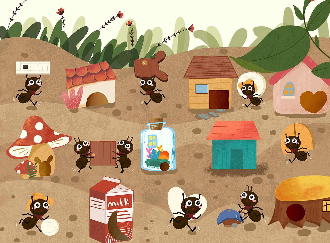 点宇文化丨2-4岁小朋友观察归类的小绘本