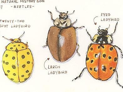 水彩画整理-一些散装纸（个人主页-ZNTYwMDE1ODg=） - 创作习作 - 站酷设计师不高兴的高兴原创素材 - 站酷ZCOOL