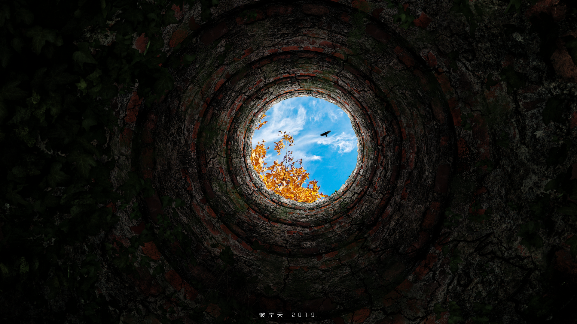 让人绝望的枯井