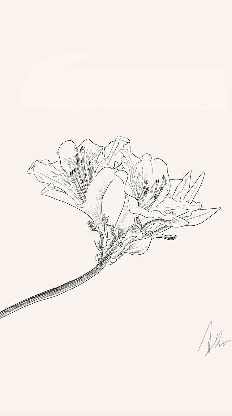 占坑啦，绞尽脑汁中·····（图ZMzAyMTYyNDM2） - Logo - 站酷设计师Jane姌原创素材 - 站酷ZCOOL