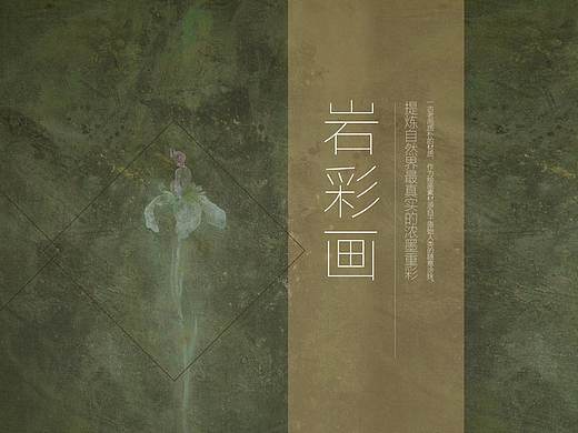 蜉蝣--画册排版