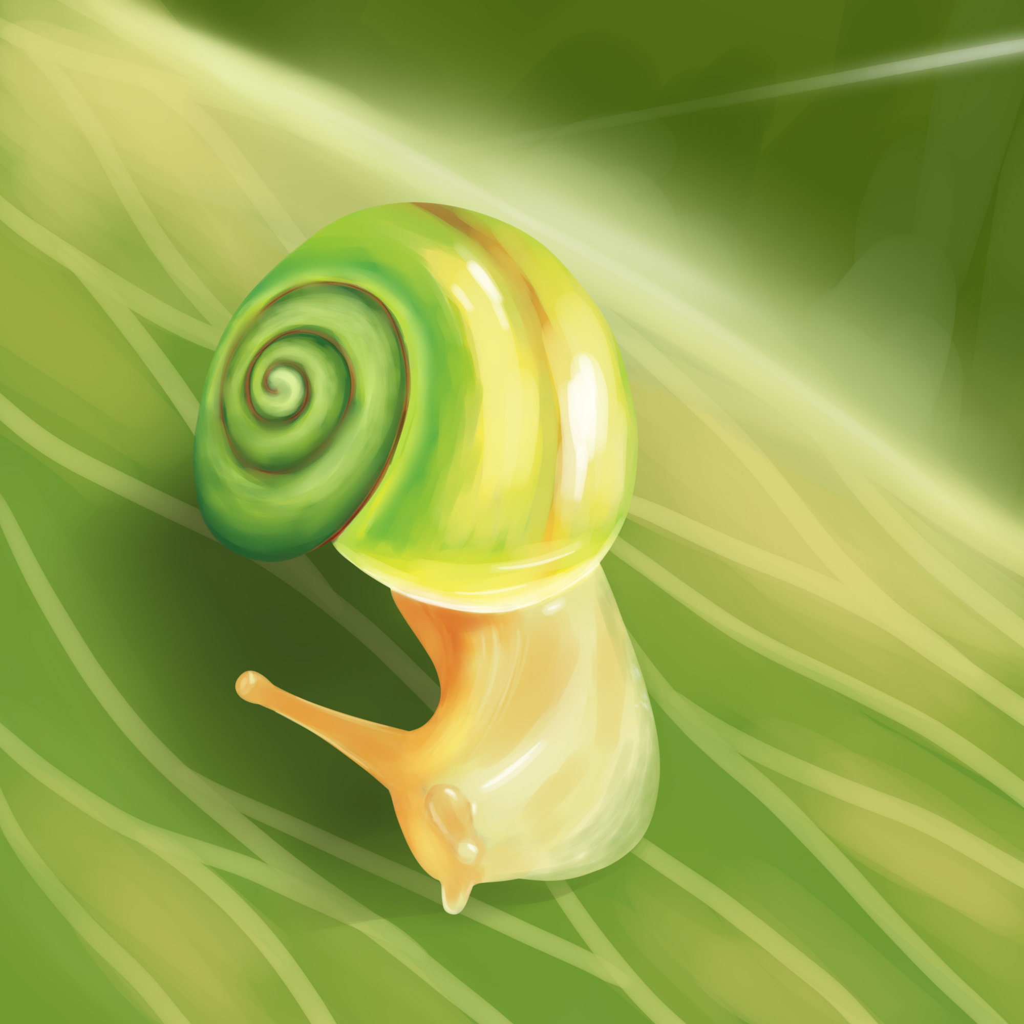 蜗牛|插画|创作习作|惜阳子 - 原创作品 - 站酷 (zcool)