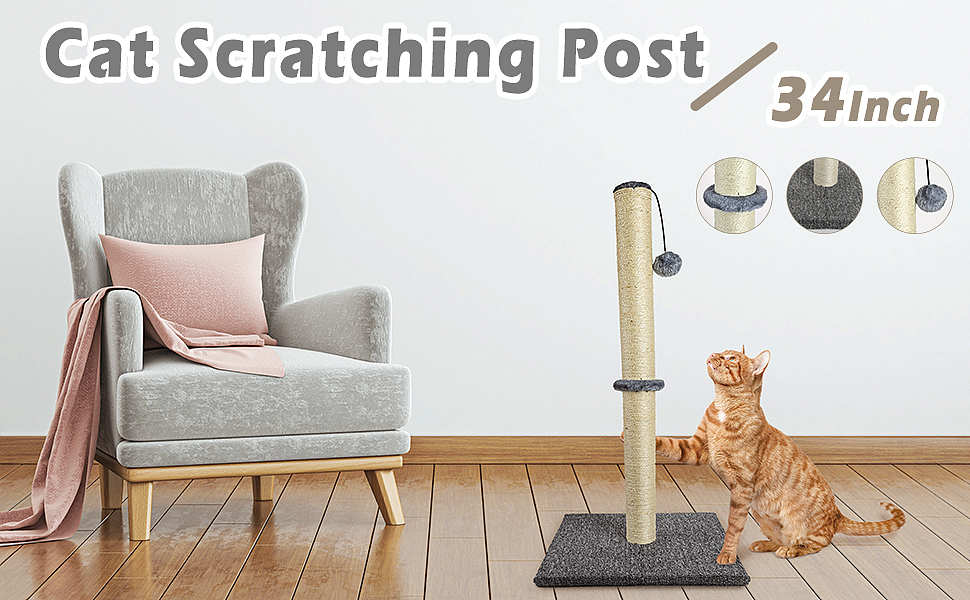 亚马逊宠物用品主图&A+