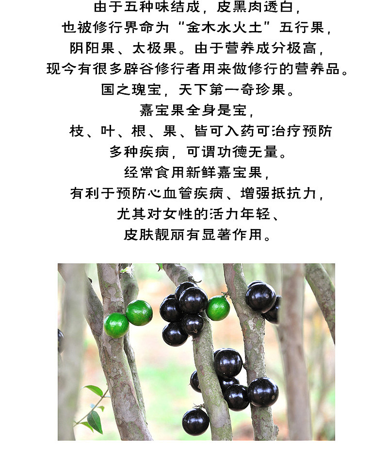 详情页（图ZNzMwMTg0MDA=） - 信息图表 - 站酷设计师ouyang墨墨原创素材 - 站酷ZCOOL