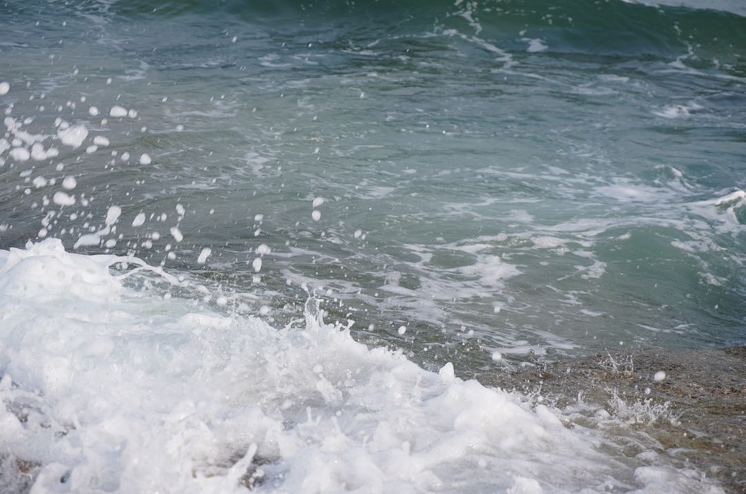 捕捉春天的第一瞬间