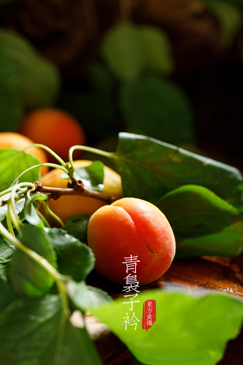 杏（图ZMTYyODExMTM2） - 产品摄影 - 站酷设计师袅姐原创素材 - 站酷ZCOOL