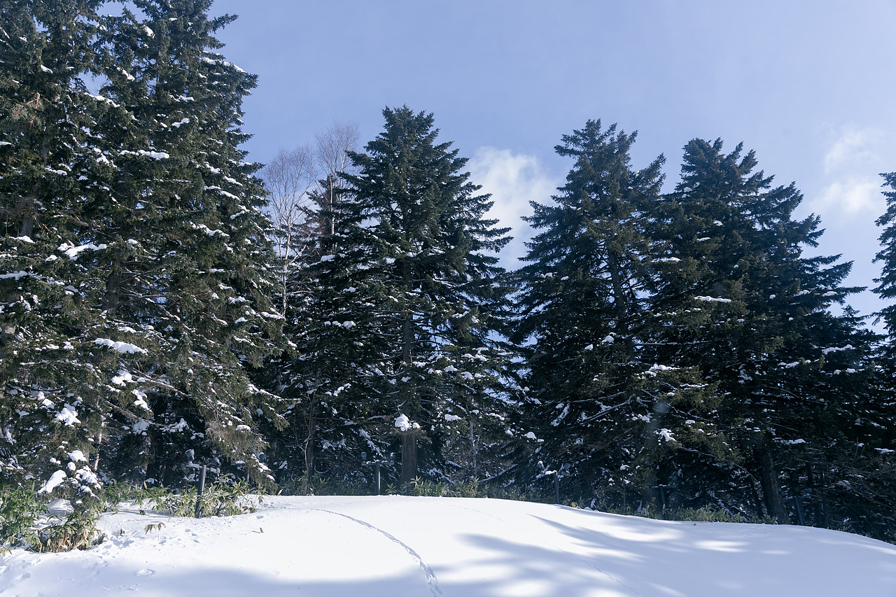 我在北海道滑雪（图ZMTA5Mzk0NzI0） - 短片 - 站酷设计师魏编来了原创素材 - 站酷ZCOOL