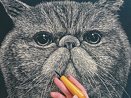 cats