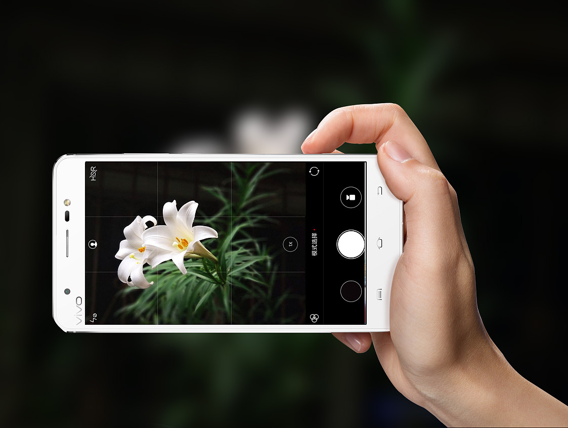 手机花卉摄影