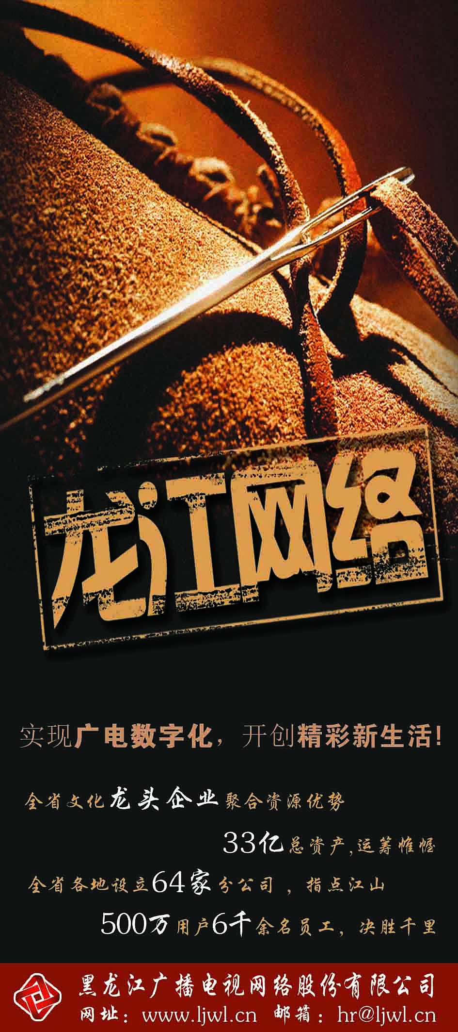 【启越设计】案例之——龙江网络_qiy_design-站酷zcool