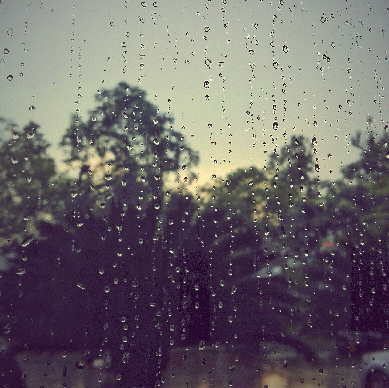 生活中的点滴-手机摄影