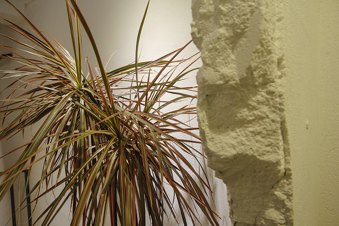 如同“山谷”的一般植物书店