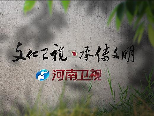河南卫视ID 姓氏篇