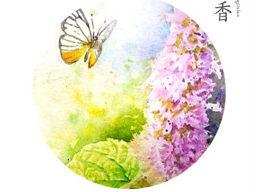6种名字很好听的花——水彩插画