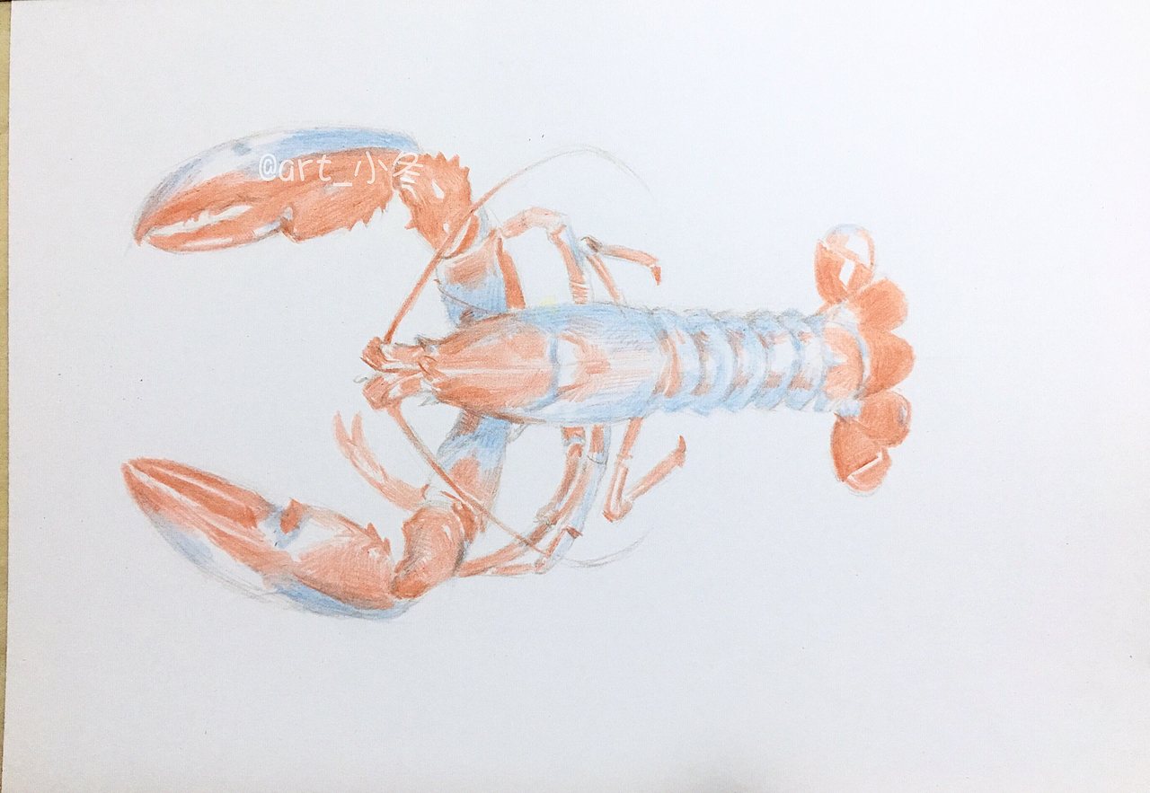 彩铅小龙虾（图ZNzczNTQxMDg=） - 绘画 - 站酷设计师art_小冬原创素材 - 站酷ZCOOL