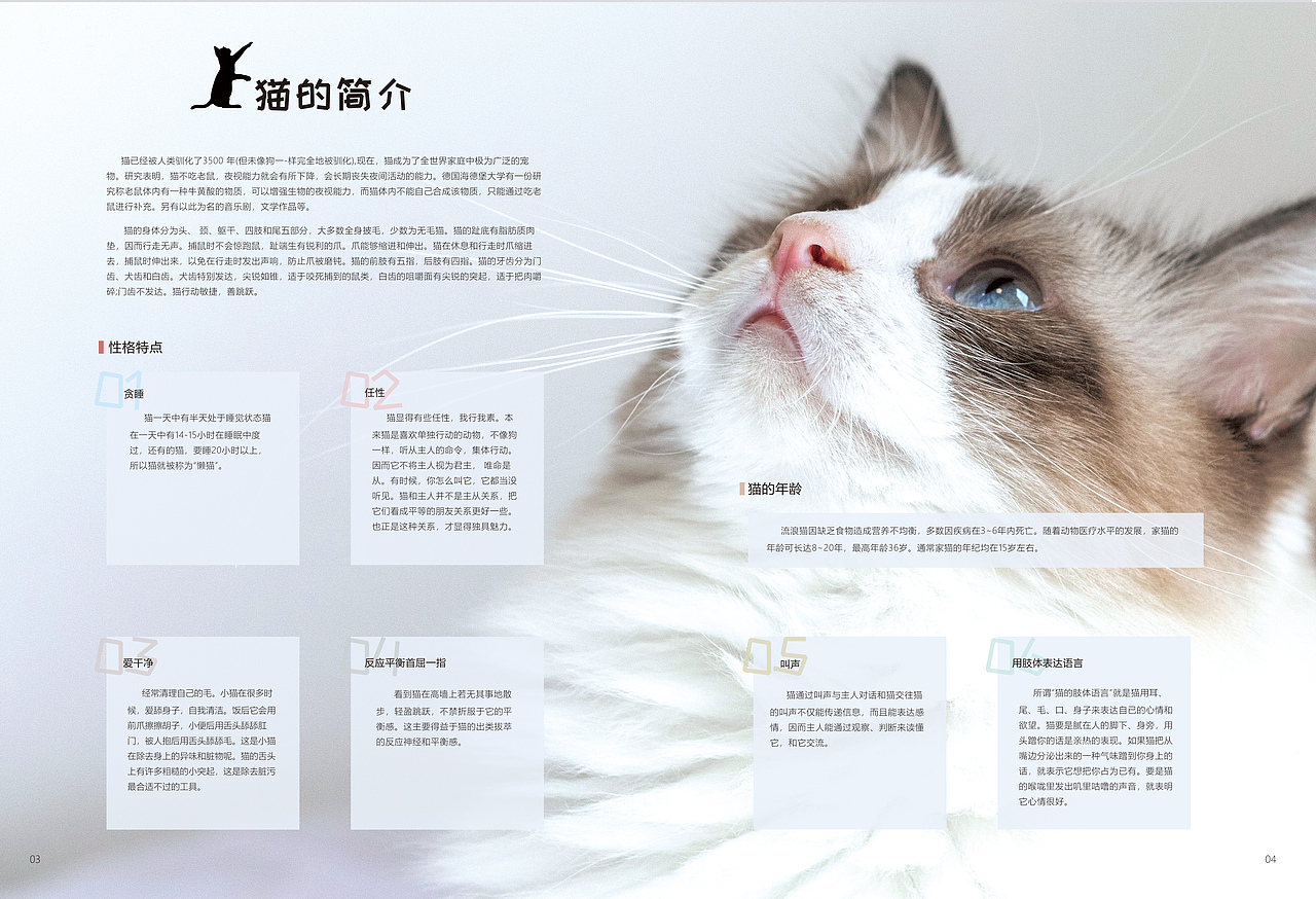 书籍排版（图ZMTcxNTkxNzE2） - 书籍/画册 - 站酷设计师张低调i原创素材 - 站酷ZCOOL