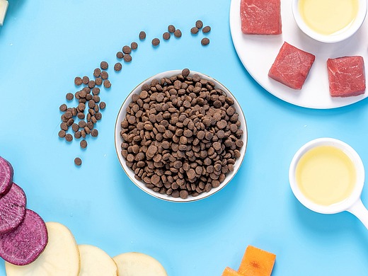 鳕鱼肝油主图_素材网站_图片免费下载-zcool站酷