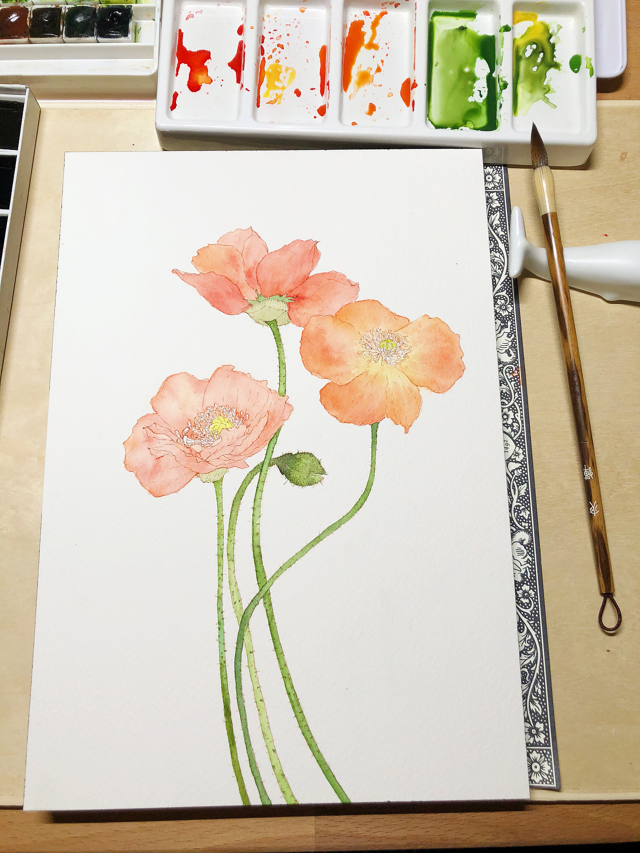 《虞美人》|插画|创作习作|麦子的麦 - 原创作品 - 站酷 (zcool)