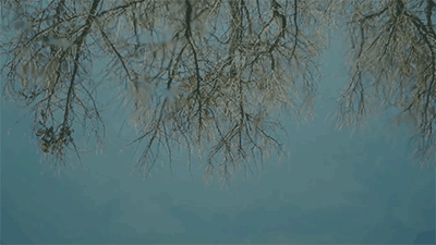 小满 | 古风MV