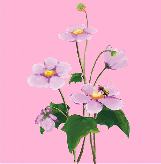 同仁堂——蜂蜜系列包装