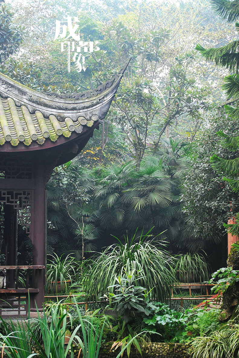 成都印象（1）原创（图ZMjM2OTA0） - 风光摄影 - 站酷设计师马强原创素材 - 站酷ZCOOL