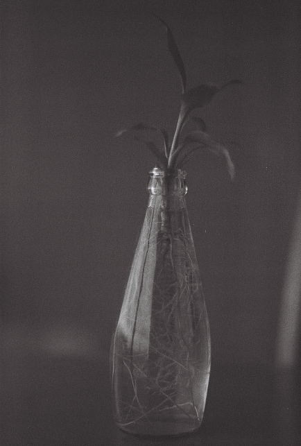 无边的灰暗（图ZMjE1OTk0ODA=） - 风光摄影 - 站酷设计师王粤飞设计原创素材 - 站酷ZCOOL