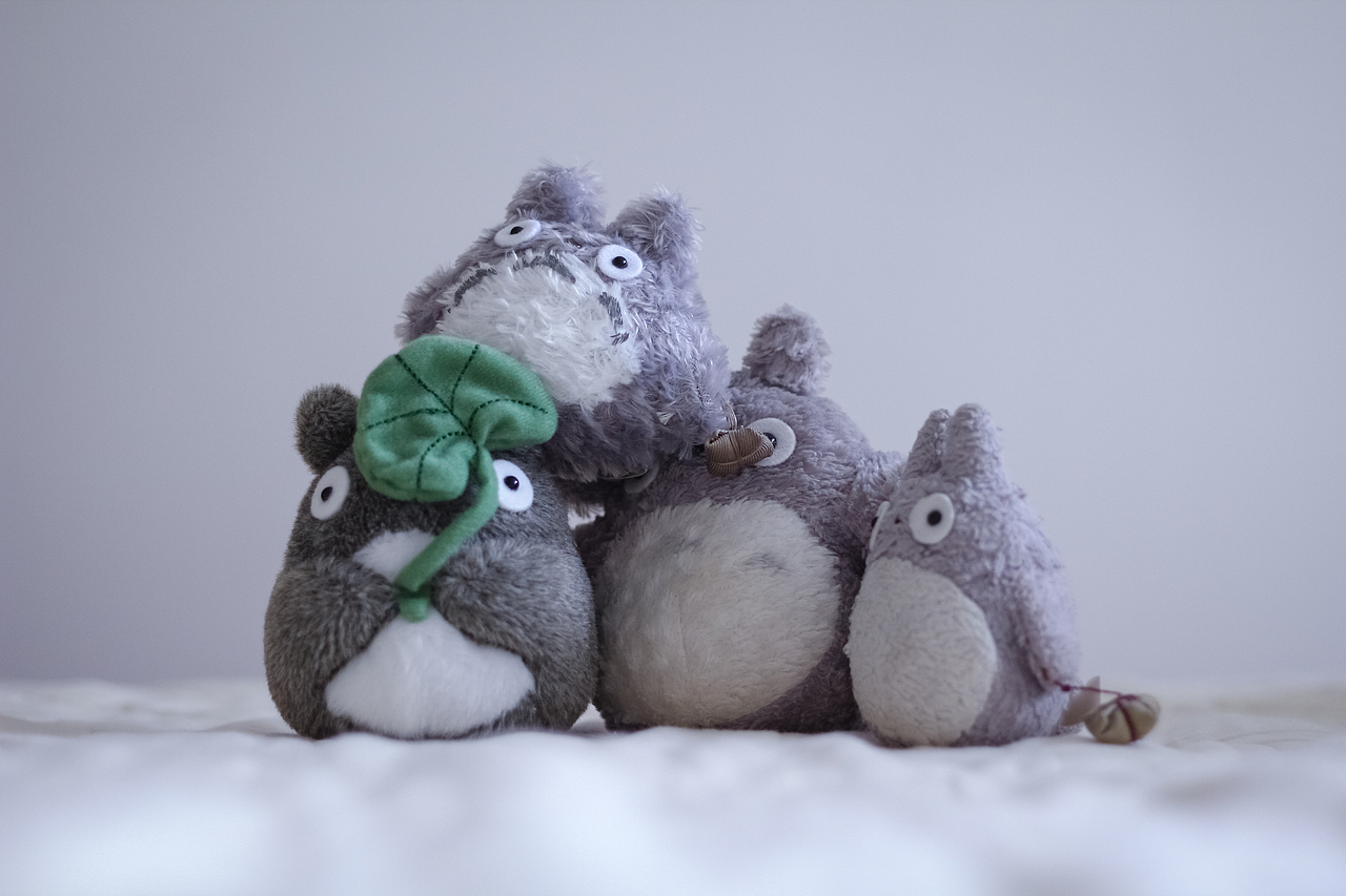 给我来打小龙猫