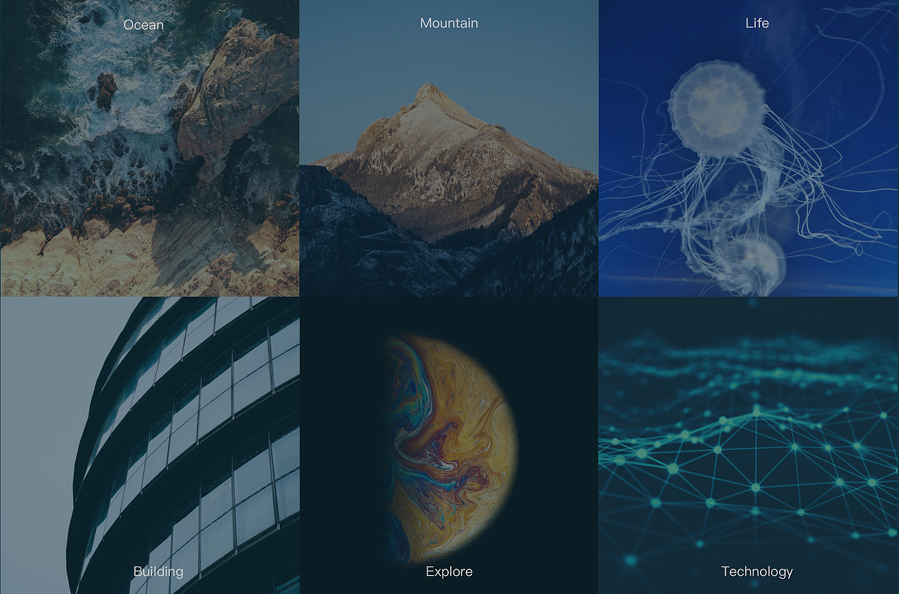 LOGO设计包含生命,探索和守护的概念。山峰和海洋结合的图形设计代表了追求科技高峰,勇于探索的精神。