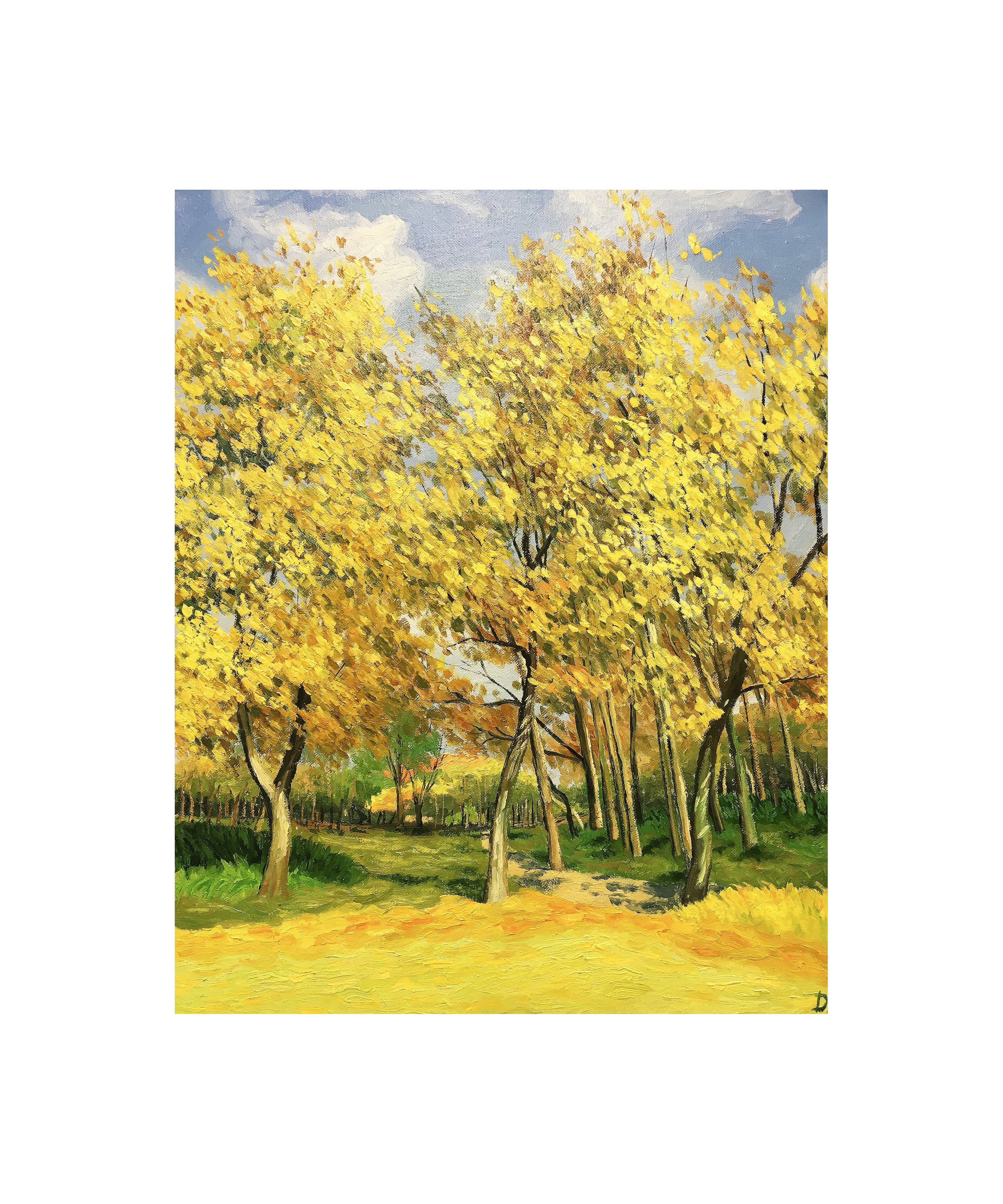 秋天,是银杏树最美的季节|插画|创作习作|七个鸭梨 - 原创作品 - 站酷 (ZCOOL)