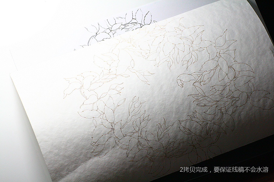 今天立春~春天万岁~   水彩 花卉 装饰画