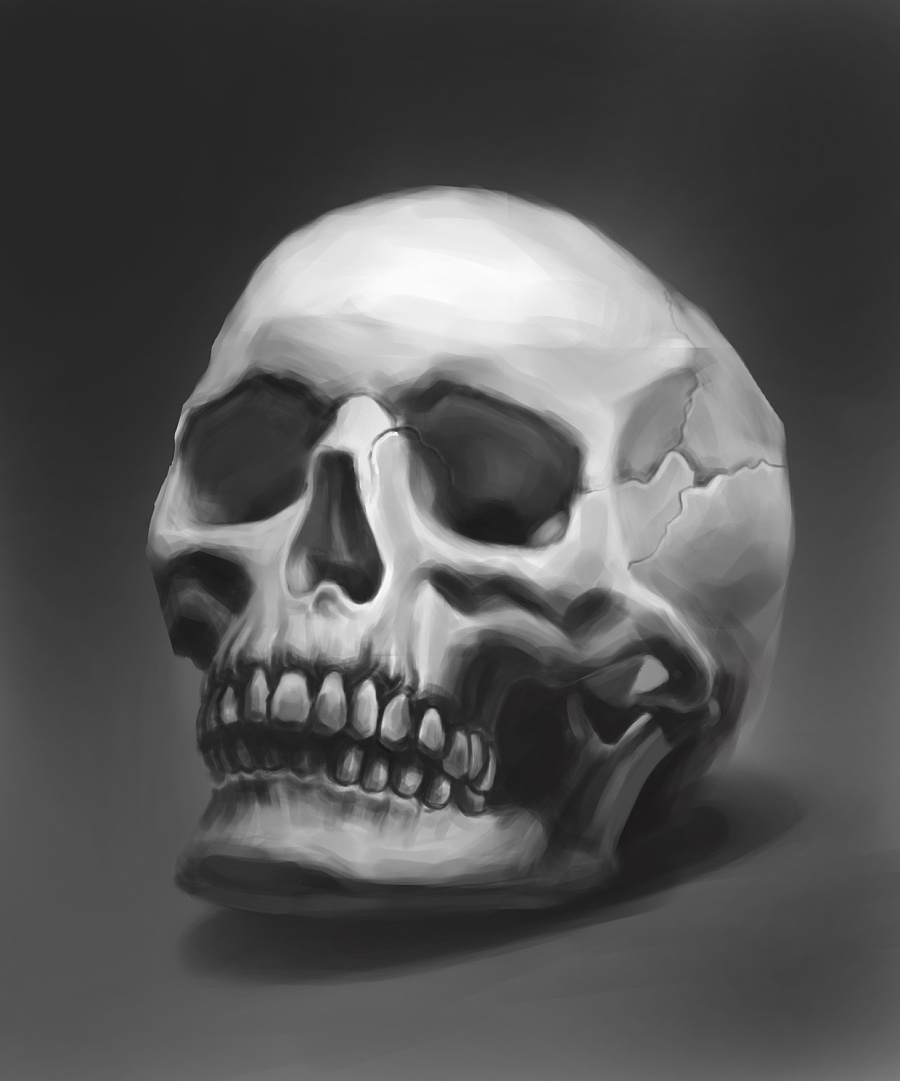 石膏骷髅临摹