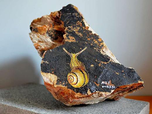 牵着蜗牛去散步