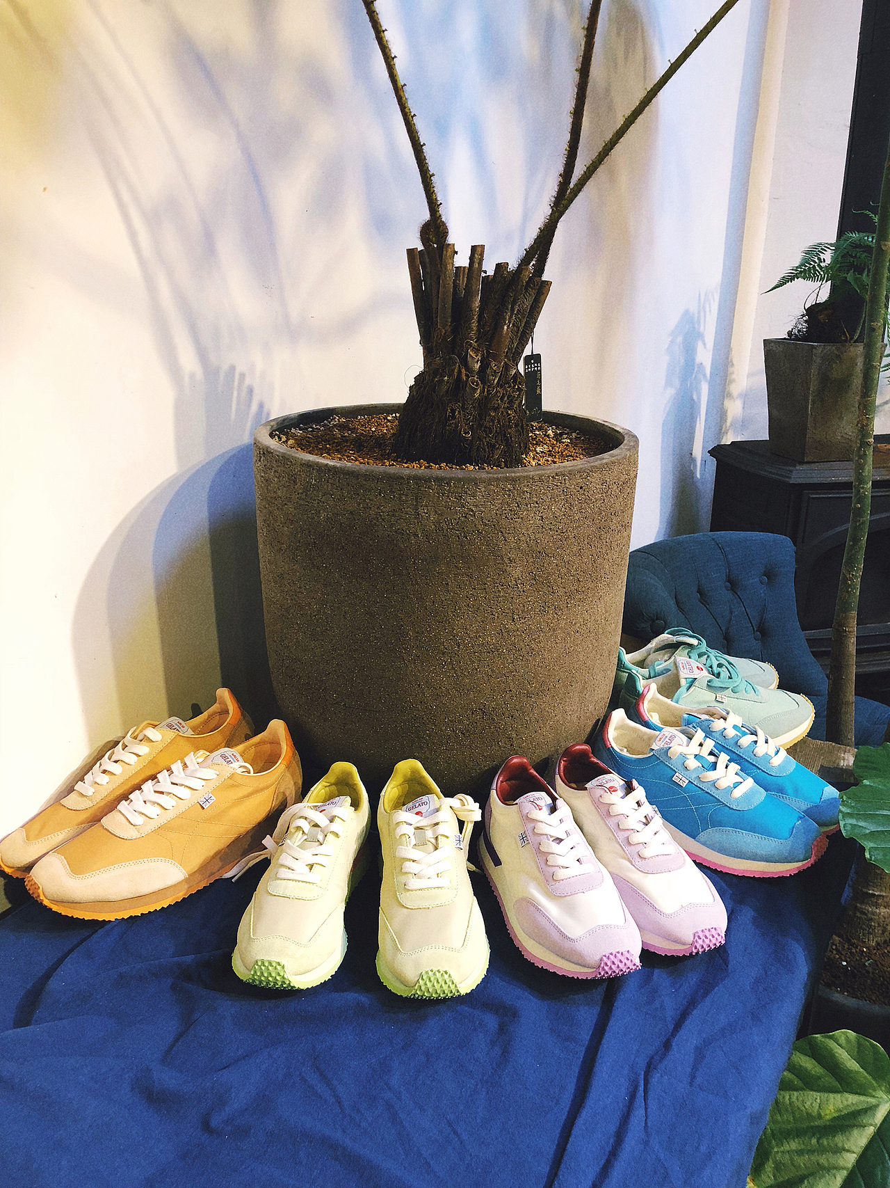 WALSH SS19發(fā)布會(huì)（圖ZMTk1ODkxMTMy） - 其他 - 站酷設(shè)計(jì)師胡冠楠Shannan原創(chuàng)素材 - 站酷ZCOOL