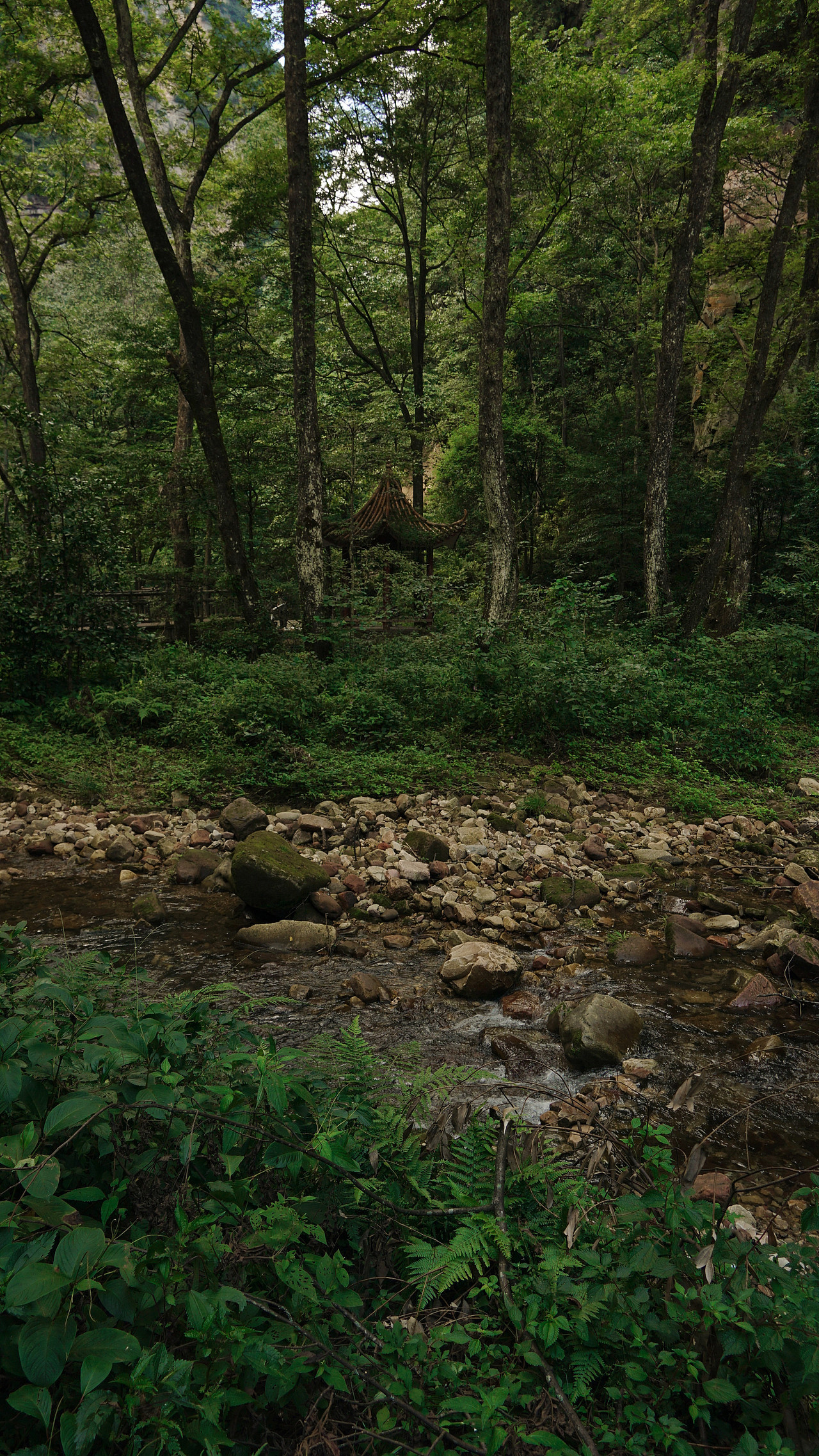 张家界金鞭溪｜自然之息（图ZMzExOTExOTIw） - 风光摄影 - 站酷设计师燦0307原创素材 - 站酷ZCOOL
