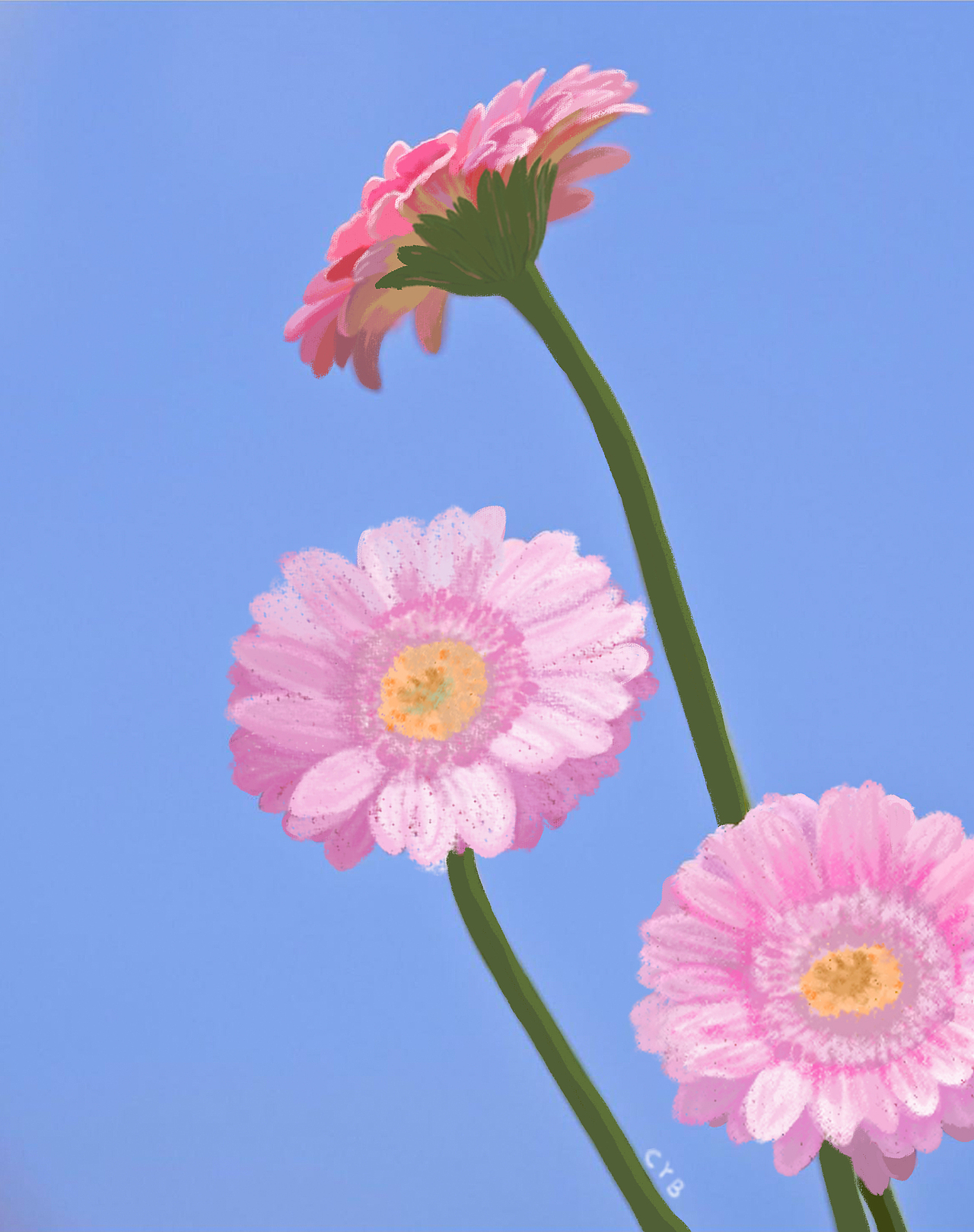 0举报收藏分享原创作品插画商业插画粉色雏菊花夏日蓝天壁纸绘画emoji