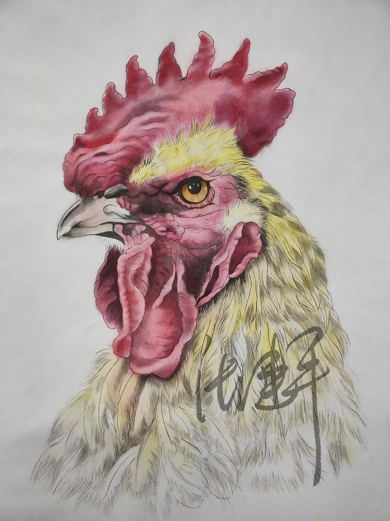 针管笔画——鸡|插画|创作习作|又一个翔子 - 原创作品 - 站酷 (ZCOOL)