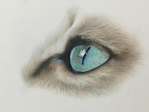 猫眼特写（个人主页-ZNDM3ODY3NDg=） - 短片 - 站酷设计师才子喜欢画猫原创素材 - 站酷ZCOOL