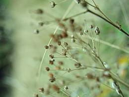 云南山間小景【原圖】