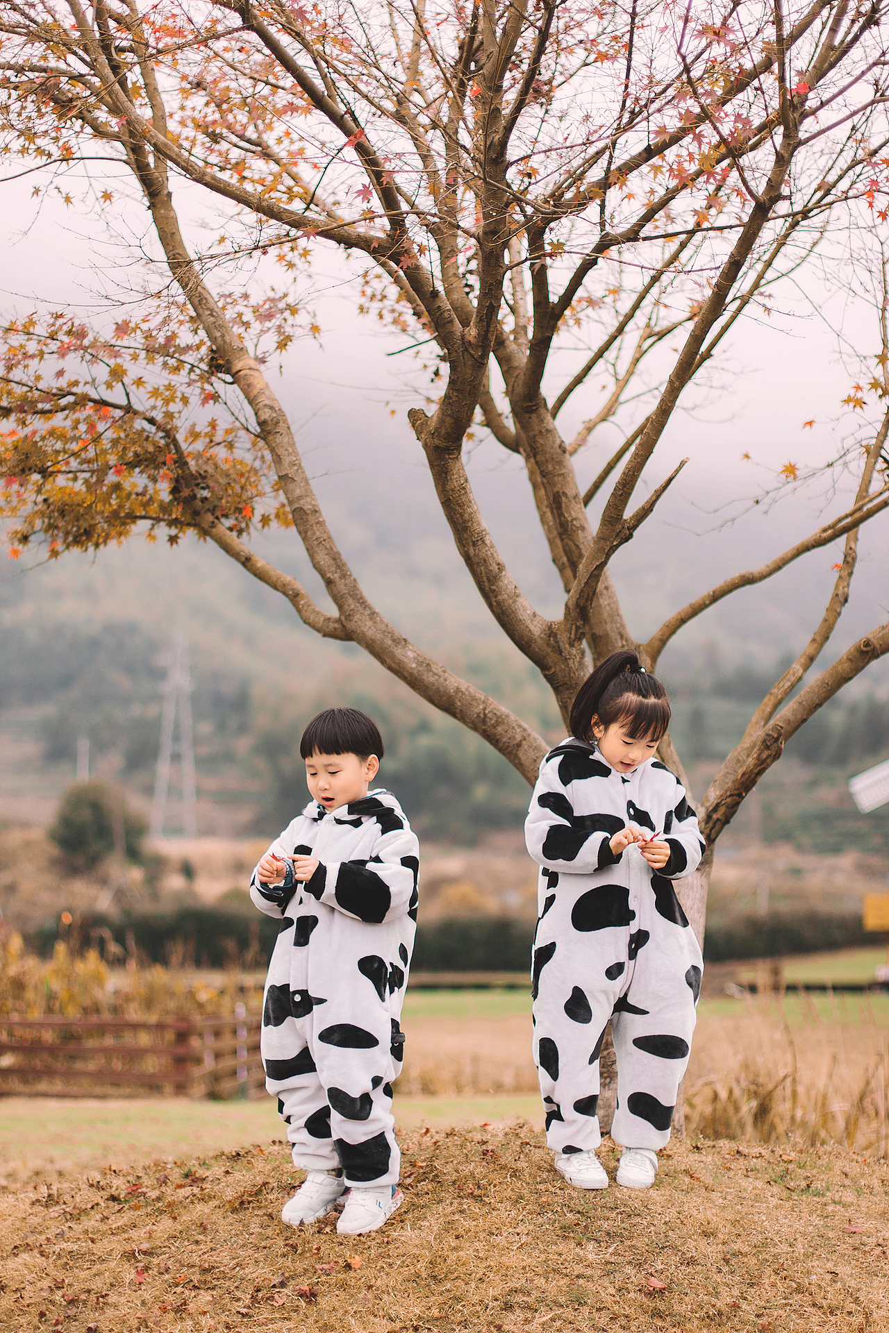 我家奶牛姑娘和他的奶牛小伙伴（圖ZMjU3OTMxMTA4） - 人像攝影 - 站酷設計師潮哥CHAOGE原創(chuàng)素材 - 站酷ZCOOL