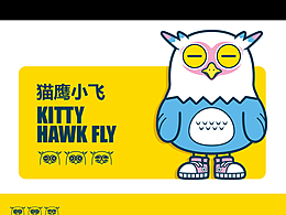 猫鹰小飞-Kitty Hawk fly